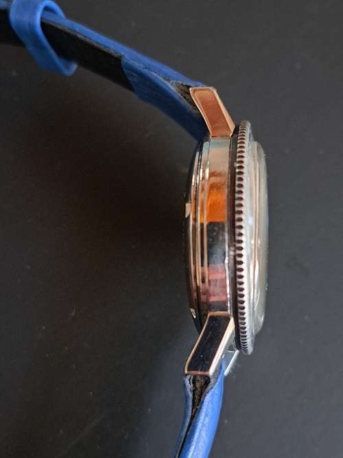 Rotary Aquaplunge