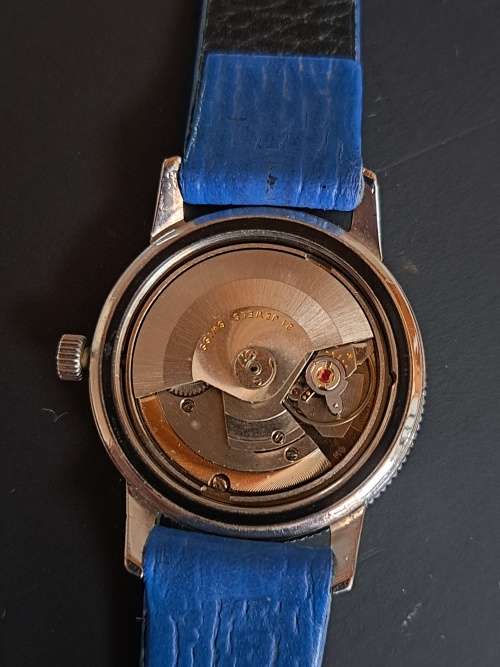 Rotary Aquaplunge