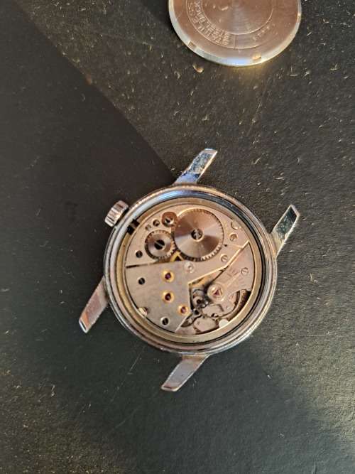 Broken Delfin Watch