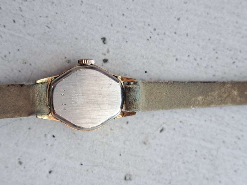 Ladies Rotary Watch