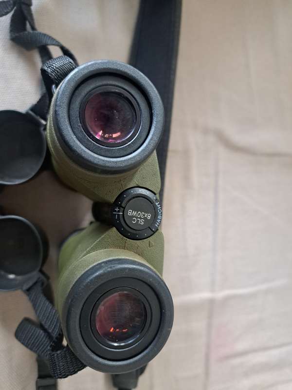 Swarovski Binoculars (Faulty)