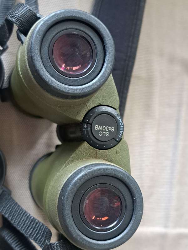 Swarovski Binoculars (Faulty)
