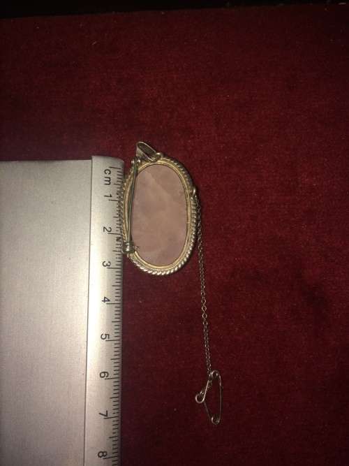 Stunning broach/pendant