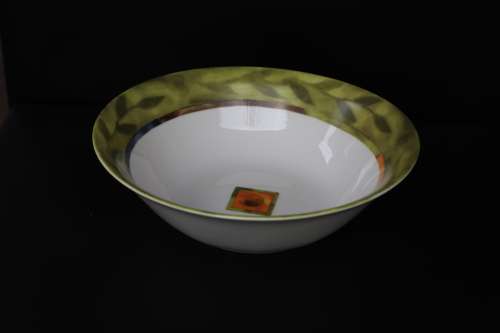 222 FIFTH- Fine china- Modern SALAD BOWL or VEGETABLE DISH / bowl--MICROWAVE and dishwasher safe