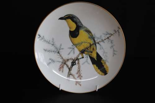 BEST LOVED BIRDS OF SOUTHERN AFRICA LIMITED EDITION-1983   -23CM PLATE   -BOKMAKIERIE