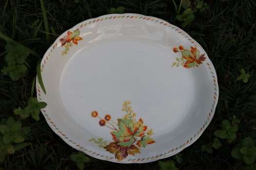 GRINDLEY-AUTUMN LEAVES MEAT PLATE