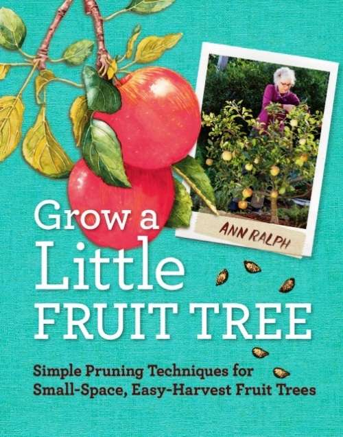 Grow A Little Fruit Tree: Simple Pruning Techniques for Small-Space, Easy-Harvest Fruit Trees