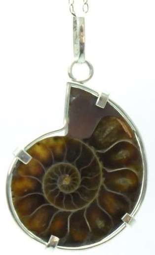 AMMONITE Pendant in Sterling Silver (49 x 30mm) * Handcrafted *