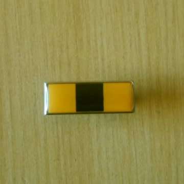 Finance Services Corps Beret Balkie With Pins In Place.