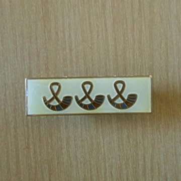 SA.D.F - Orange Free State Command - Command Bar With Pins In Place.
