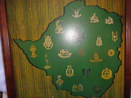 RHODESIAN MILITARY BADGES depicted on a framed map.