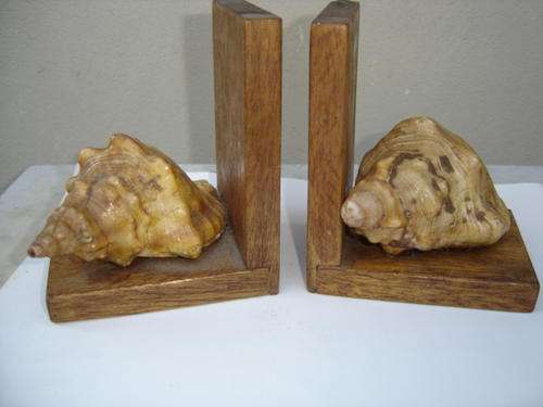 Pair of shell bookends