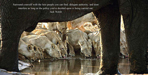 My Book. Brian Joffe
