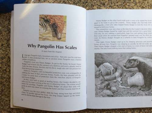 When Lion Could Fly: And Other Tales from Africa  Nick Greaves, Rod Clement