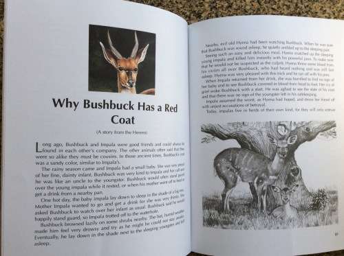 When Lion Could Fly: And Other Tales from Africa  Nick Greaves, Rod Clement