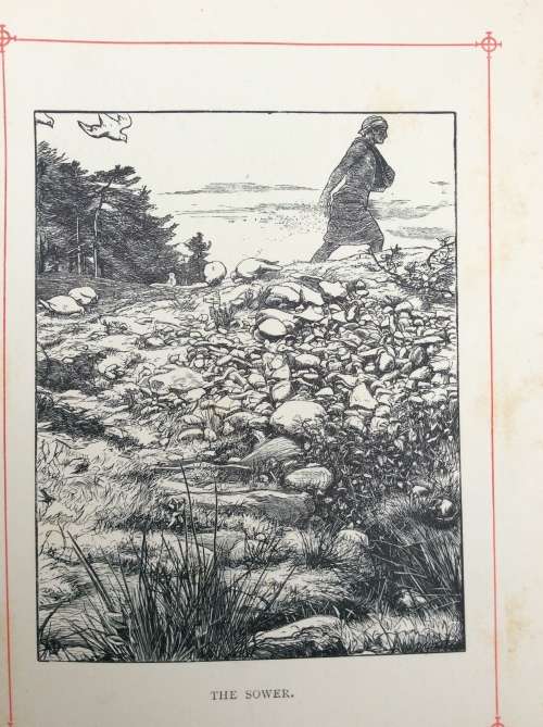 THE PARABLES OF OUR LORD AND SAVIOUR JESUS CHRIST Illustrated  by Millais, John Everett