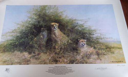 David Shepherd limited print 972/1250 Cheetah in the Shade signed by artist