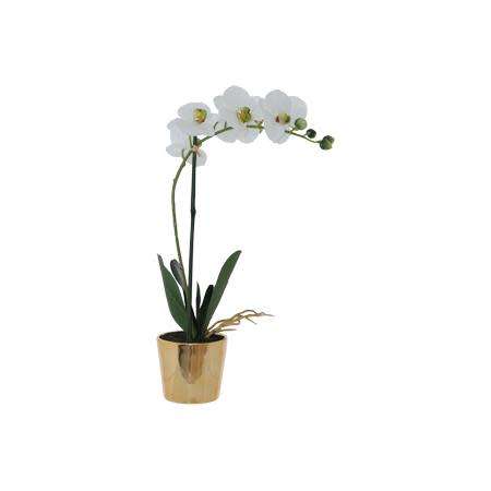 White Orchid with planter detail