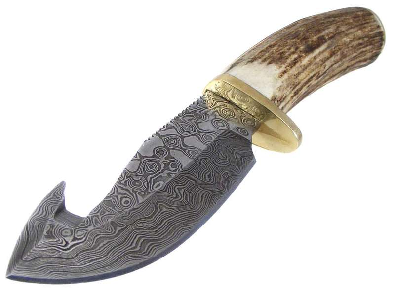 Hand Forged Custom Damascus Blade Hunting Knife - Stag Horn Handle in custom Campher wood box
