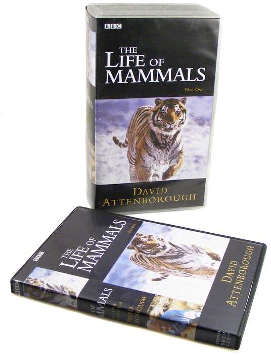 David Attenborough's LIfe Of Mammals Box Set- Original VHS plus professionally transcribed DVD discs