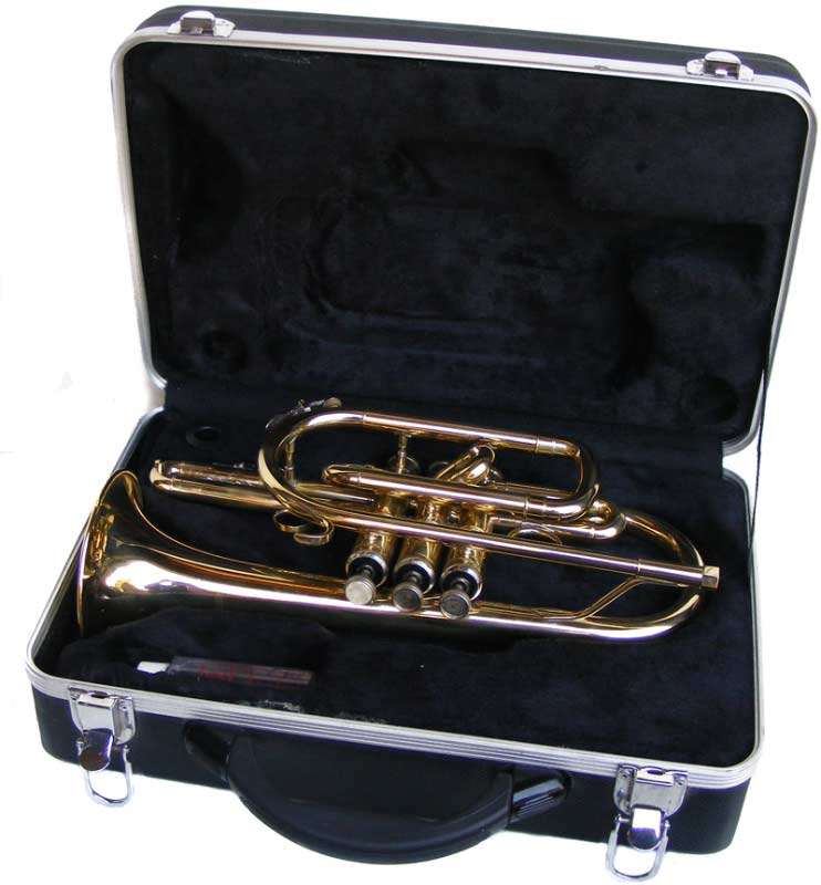 Sanchez brass trumpet in case