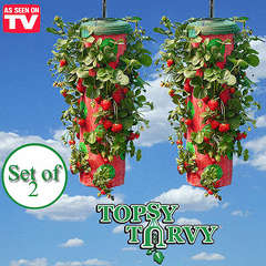 3 ON AUCTINS !!!! Strawberry planter