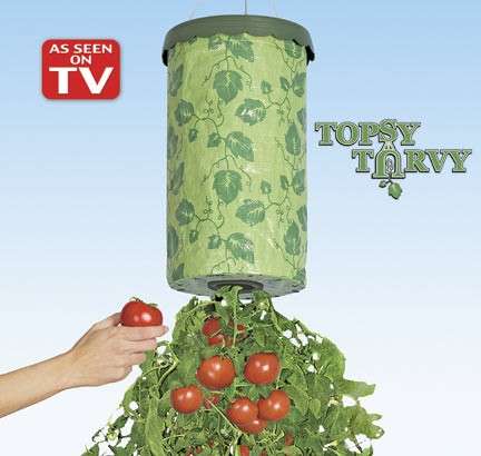 Upside Down Tomato Planter