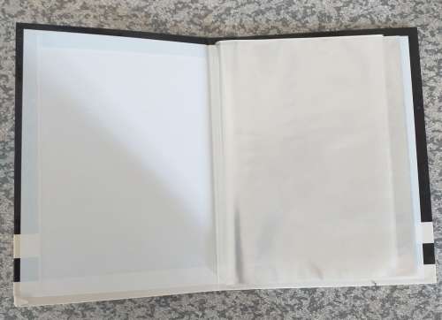 Sharks Photo album