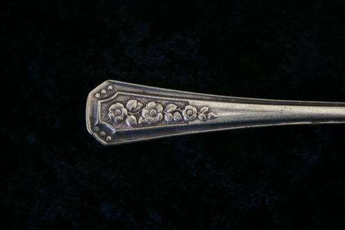silver spoon