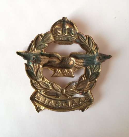 SAAF SALM Badge