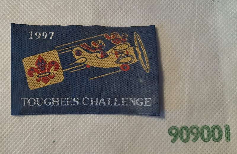 Boy Scouts Badge 1