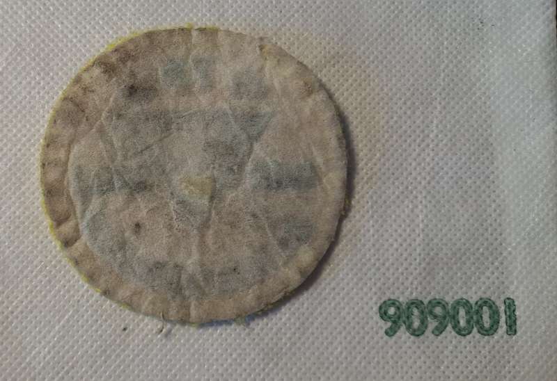 Boy Scouts Badge 2