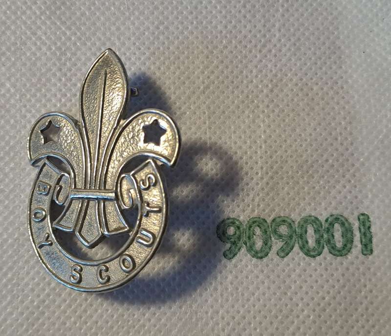 SOUTH AFRICA BOY SCOUTS PIN EMBLEM INSIGNIA