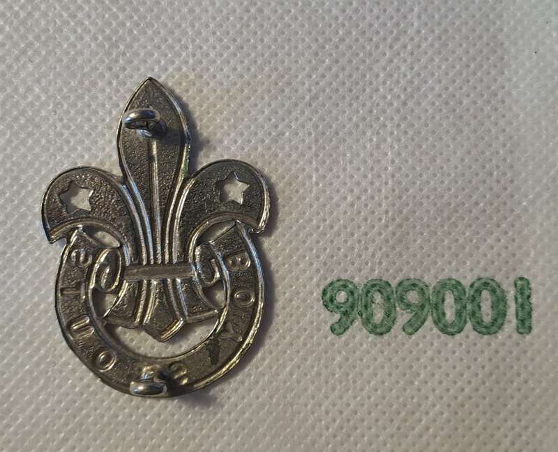 SOUTH AFRICA BOY SCOUTS PIN EMBLEM INSIGNIA