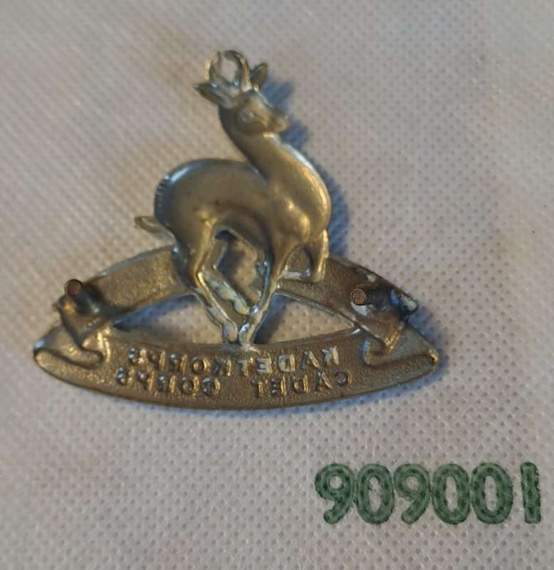 South African Army Cadet Corps cap badge