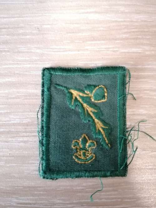 Vintage Boy scouts badge