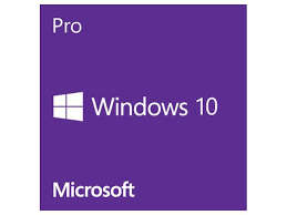 Microsoft Windows 10 Professional