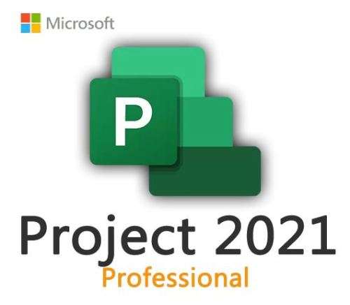 Microsoft Project 2021 Professional