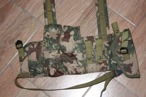 Taskforce Chest Webbing