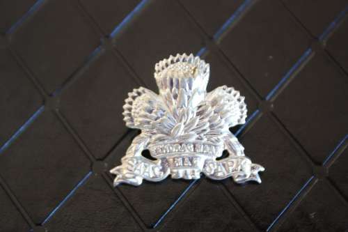 SADF 1SSB Gilded Collar Badge