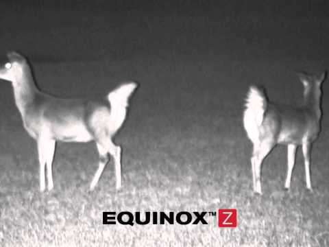 Bushnell 6x50 Equinox Digital Night Vision