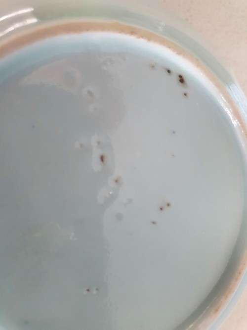 ANTIQUE CHINESE BLUE AND WHITE PORCELAIN DISHES