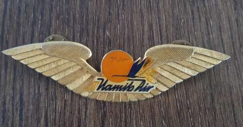 Vintage Nambi Air Enamel and Brass Pilot Badge