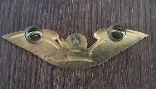 Vintage Nambi Air Enamel and Brass Pilot Badge