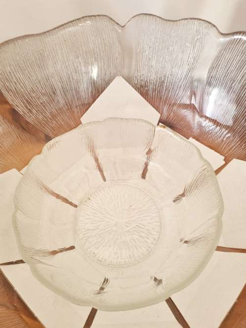 Arcoroc France Fleur Flower Punch Bowl Set (12 Guests)