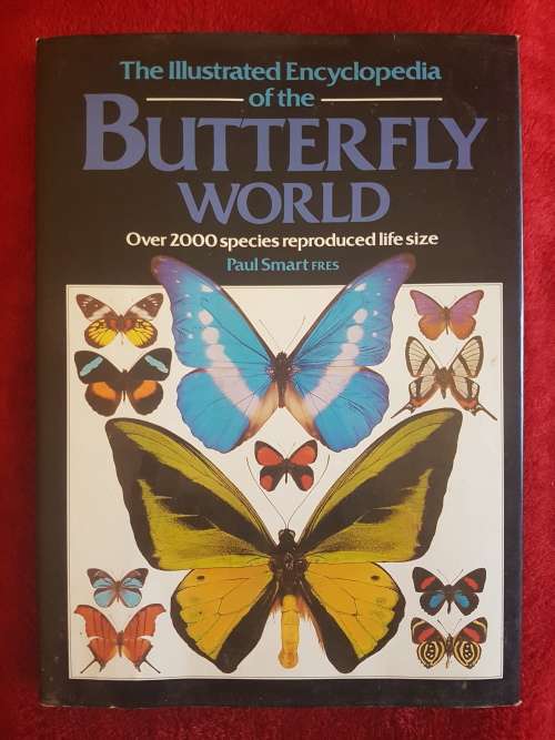 The Illustrated Encyclopedia of the BUTTERFLY WORLD over 2000 species reproduced life size