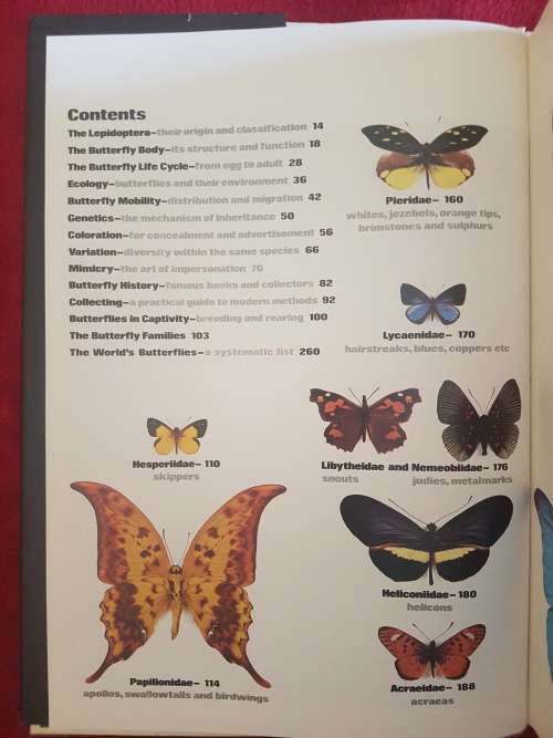The Illustrated Encyclopedia of the BUTTERFLY WORLD over 2000 species reproduced life size