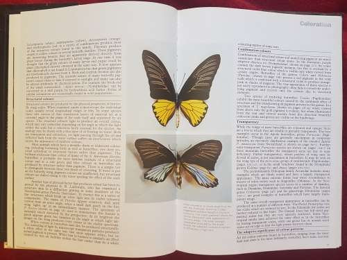 The Illustrated Encyclopedia of the BUTTERFLY WORLD over 2000 species reproduced life size