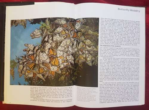 The Illustrated Encyclopedia of the BUTTERFLY WORLD over 2000 species reproduced life size