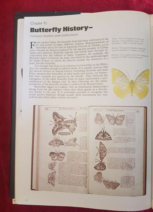 The Illustrated Encyclopedia of the BUTTERFLY WORLD over 2000 species reproduced life size